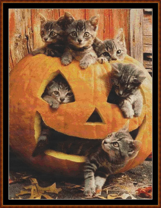 Pumpkin Kitties  