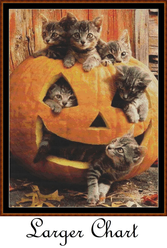 Pumpkin Kitties  