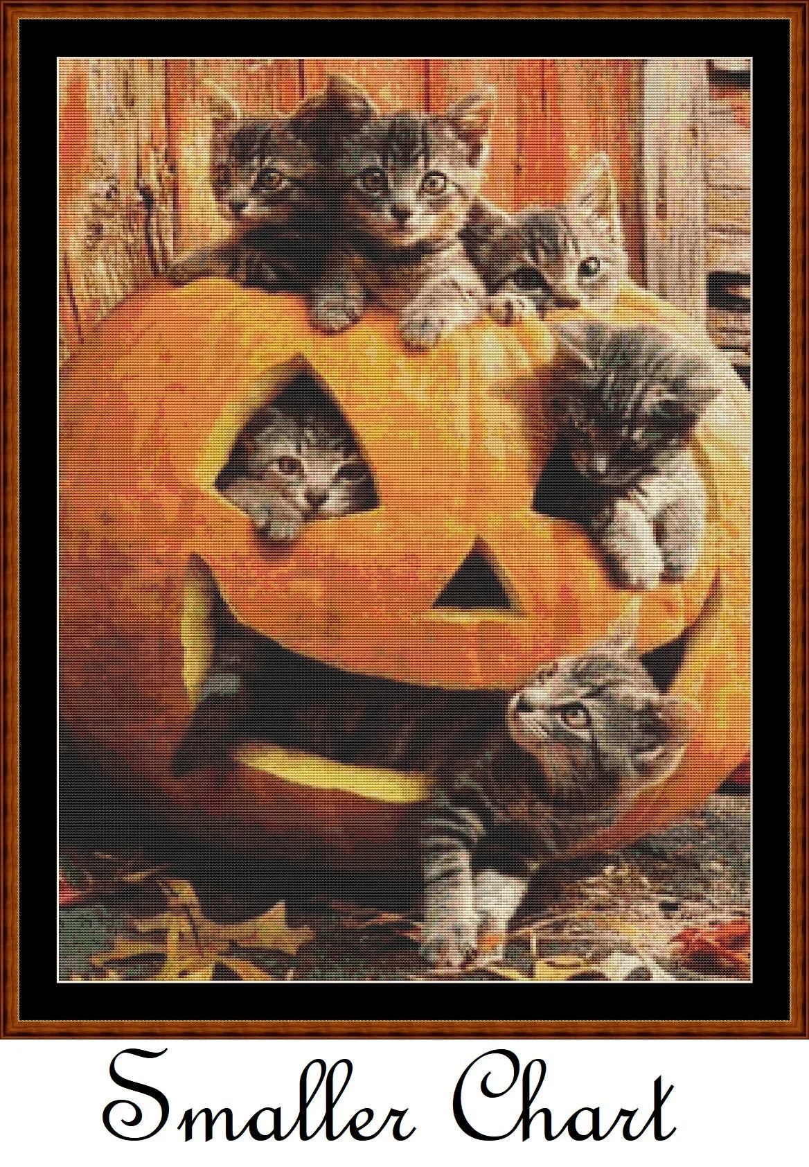 Pumpkin Kitties  