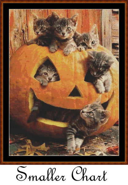 Pumpkin Kitties  