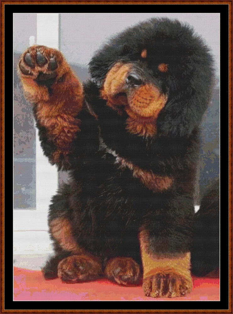 Gimme Five  