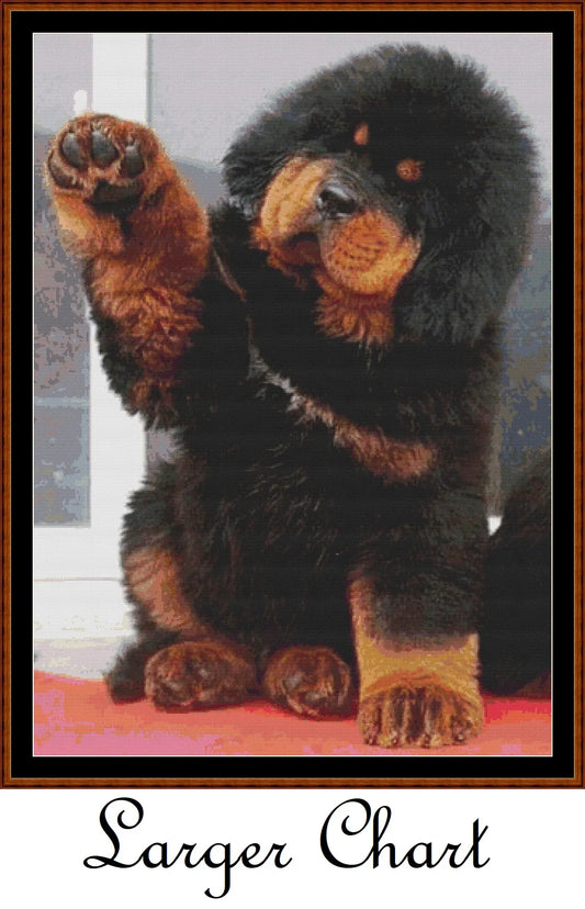 Gimme Five  