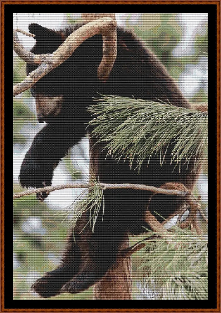 Tree Nap  
