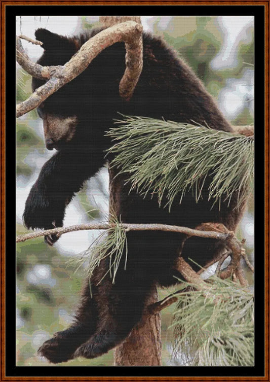 Tree Nap  