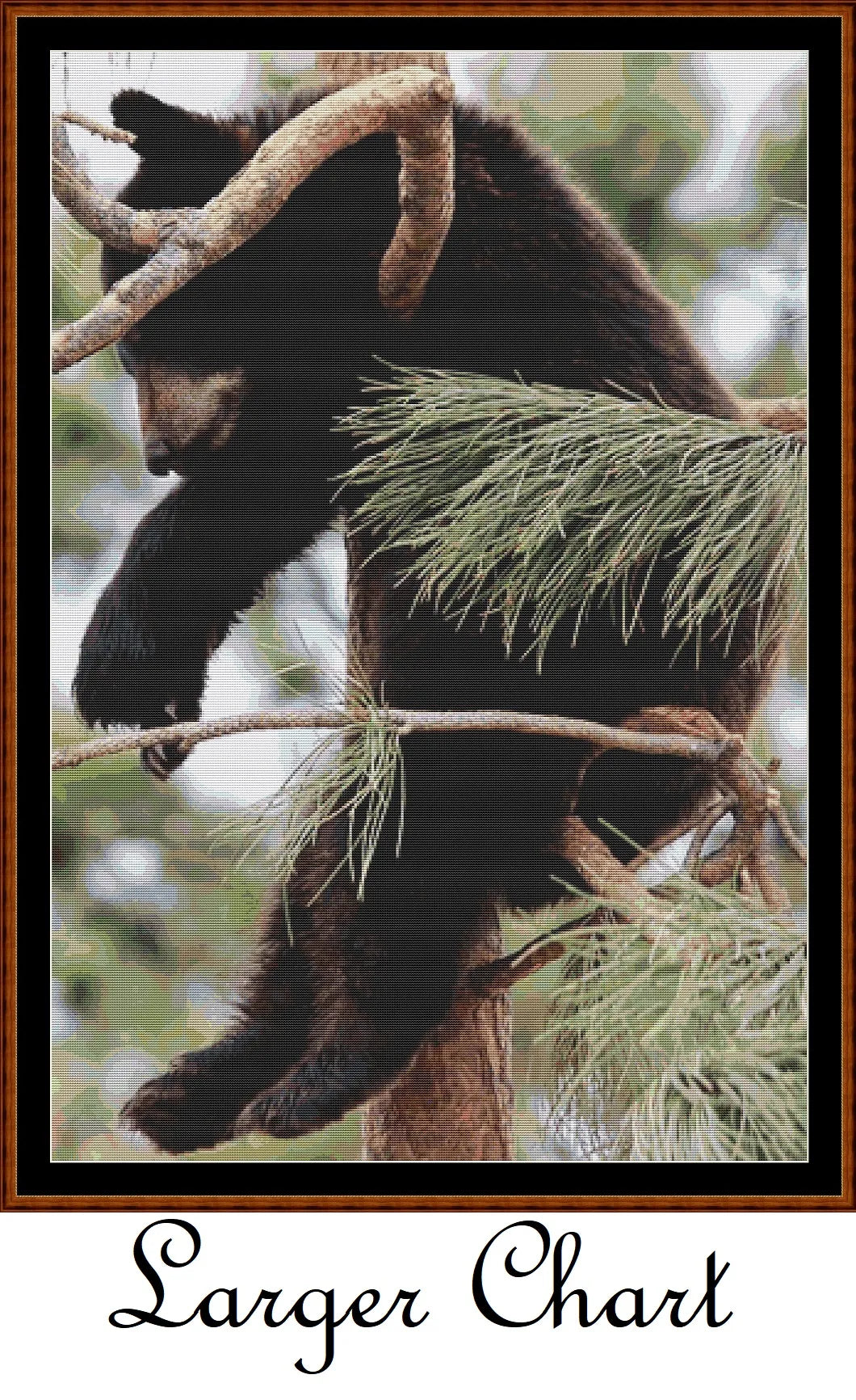 Tree Nap  