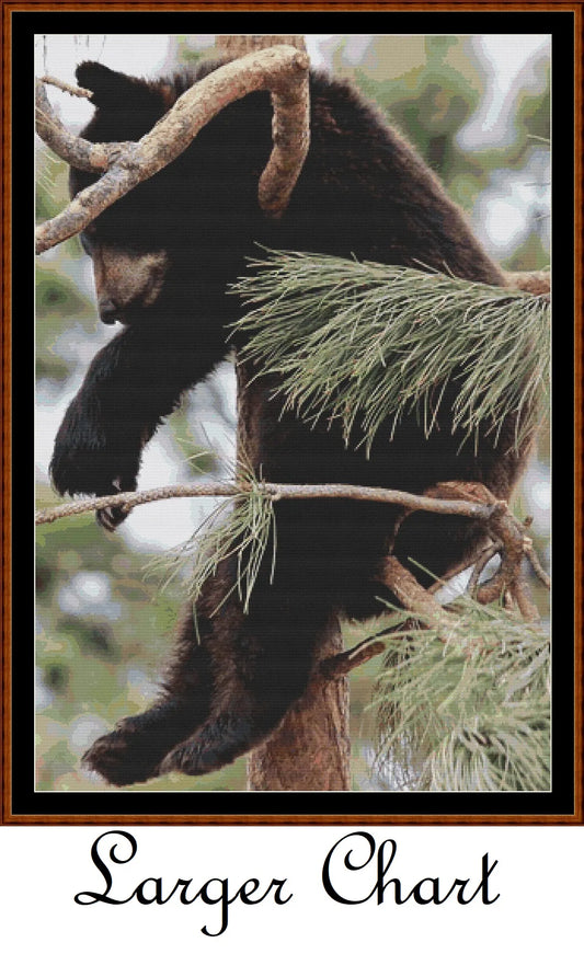 Tree Nap  