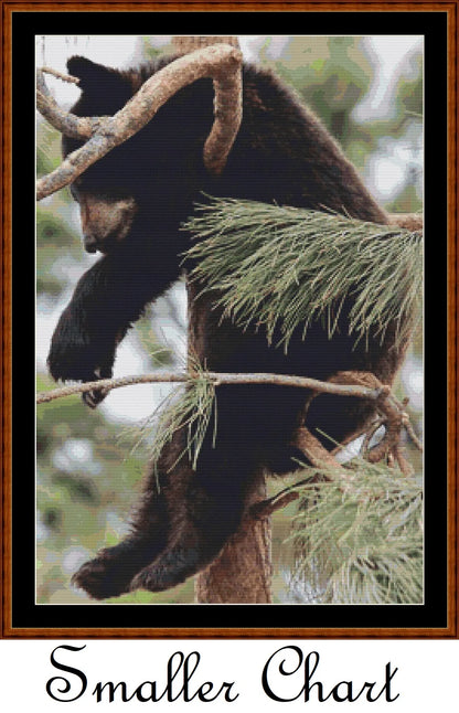 Tree Nap  