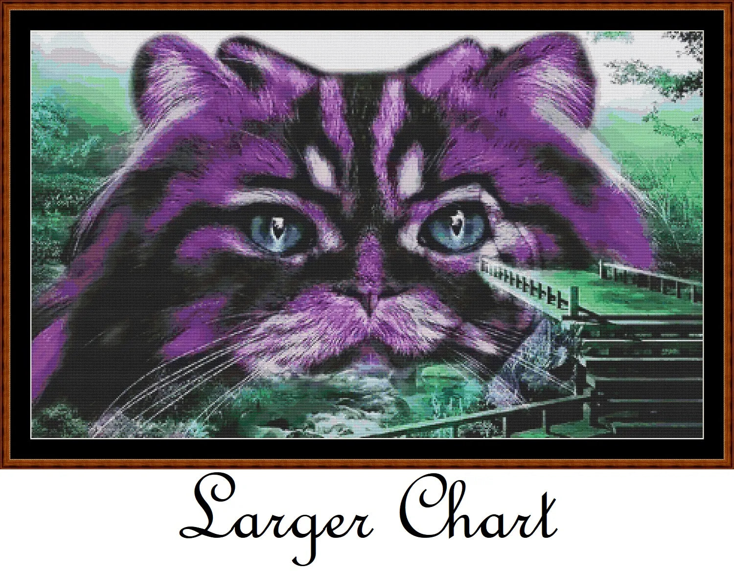 Purple Kitty  