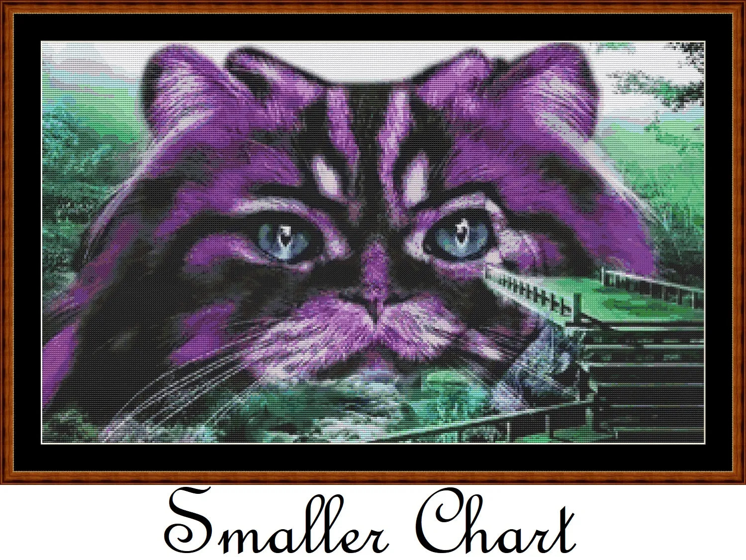 Purple Kitty  
