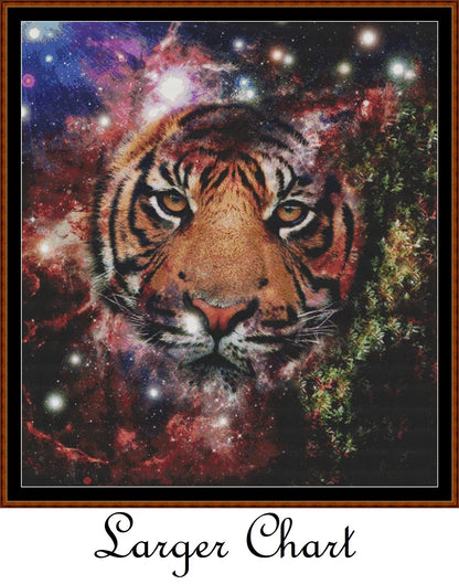 Space Kitty  