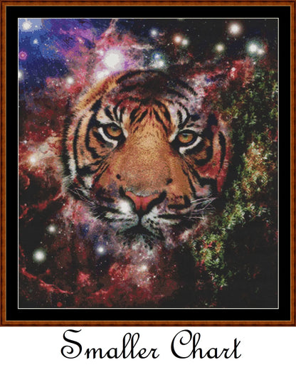 Space Kitty  