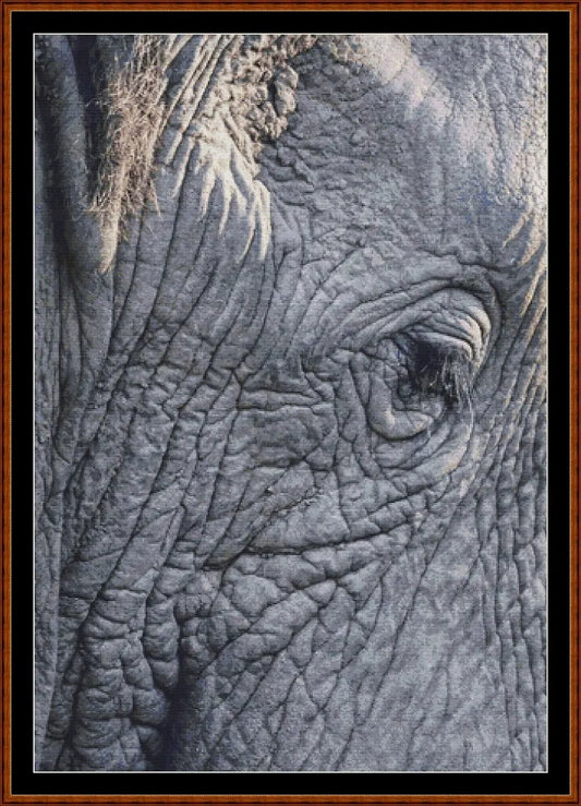 Aged View  