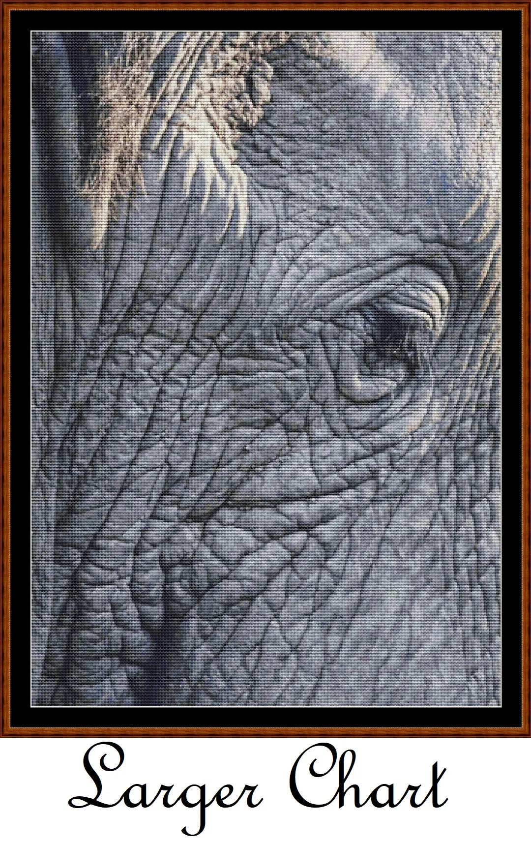 Aged View  