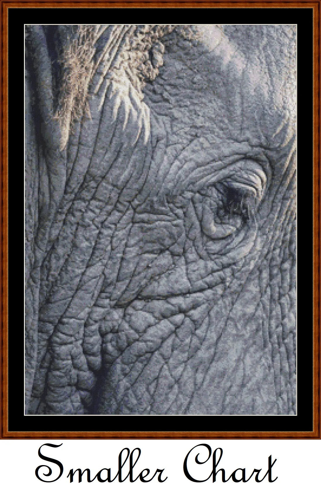 Aged View  