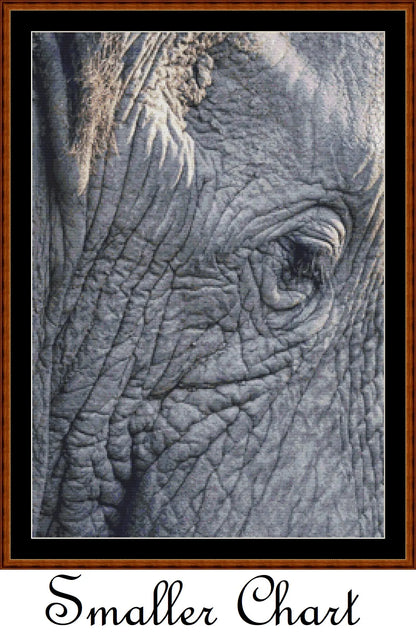Aged View  