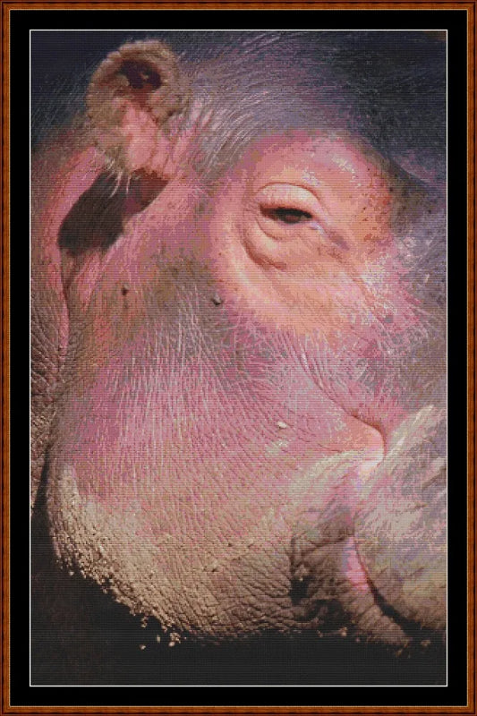 Hippo View  