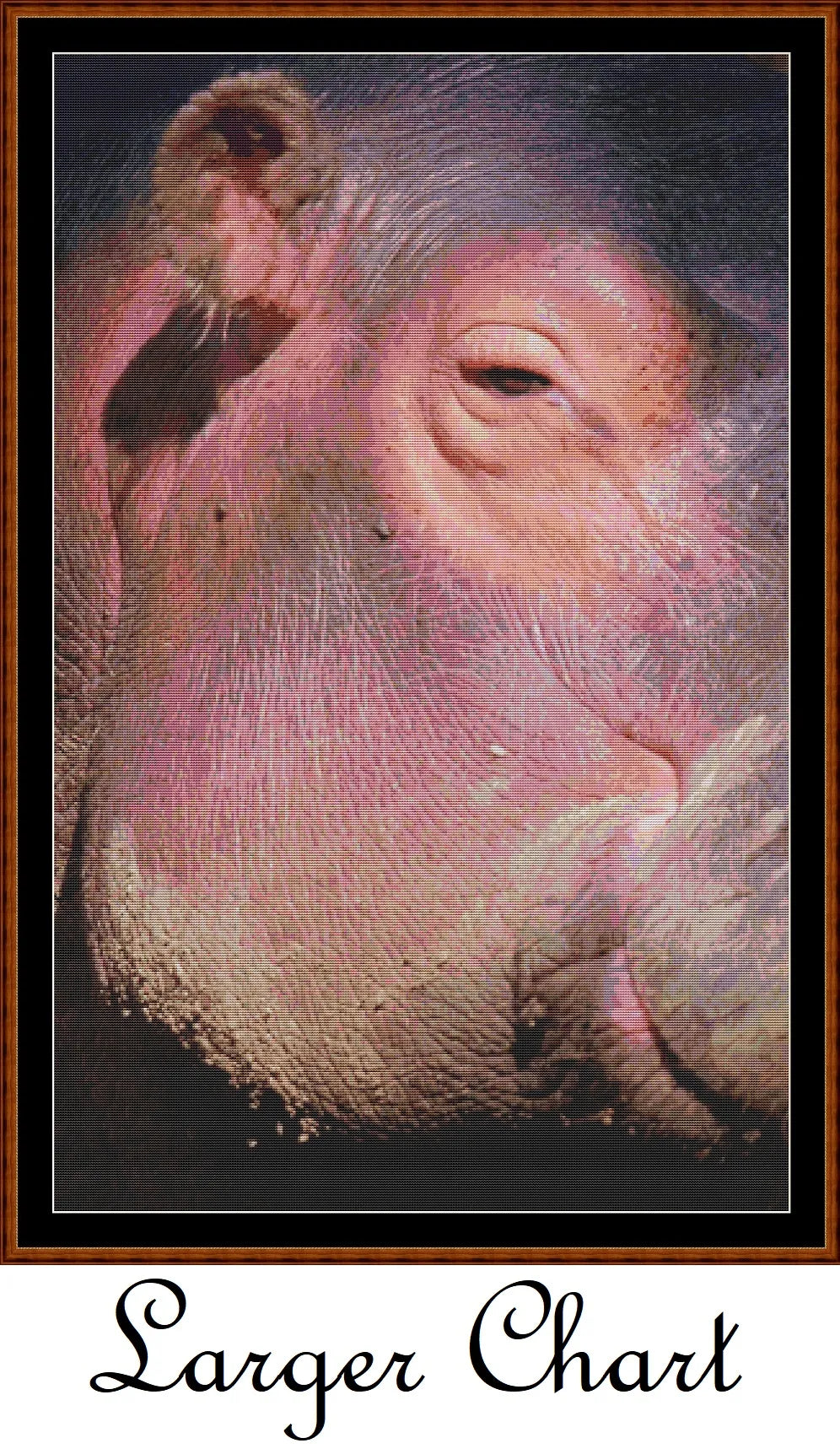 Hippo View  