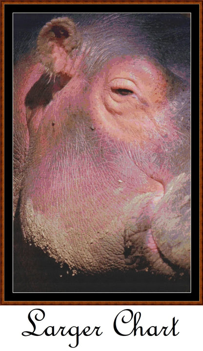 Hippo View  