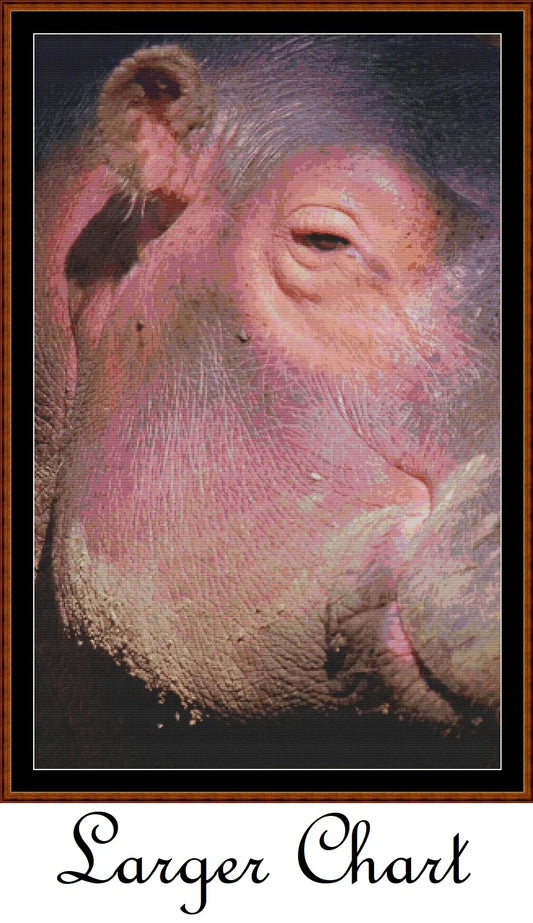 Hippo View  
