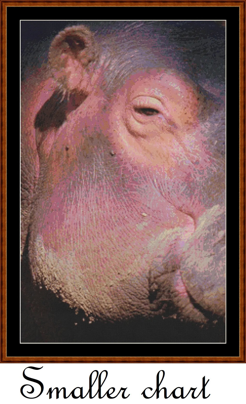 Hippo View  