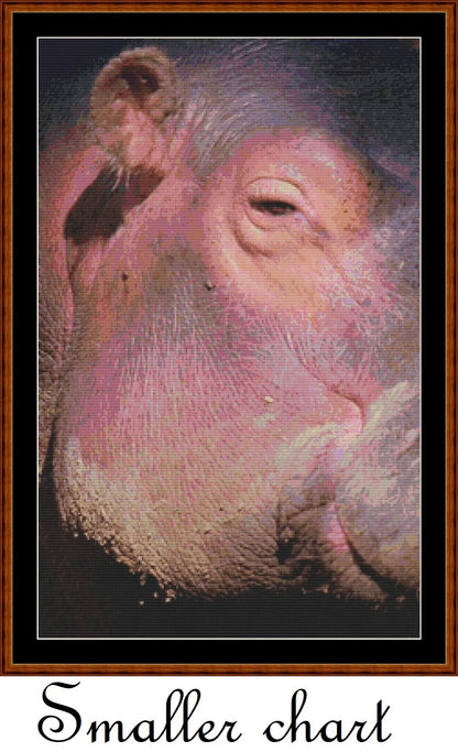 Hippo View  