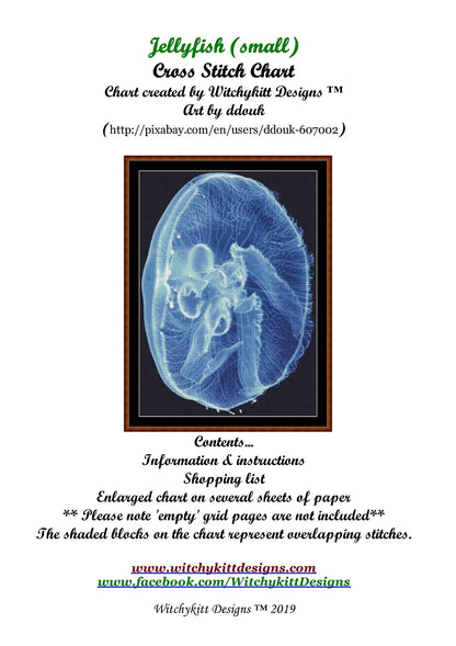 Jellyfish  