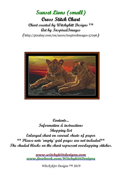 Sunset Lions  