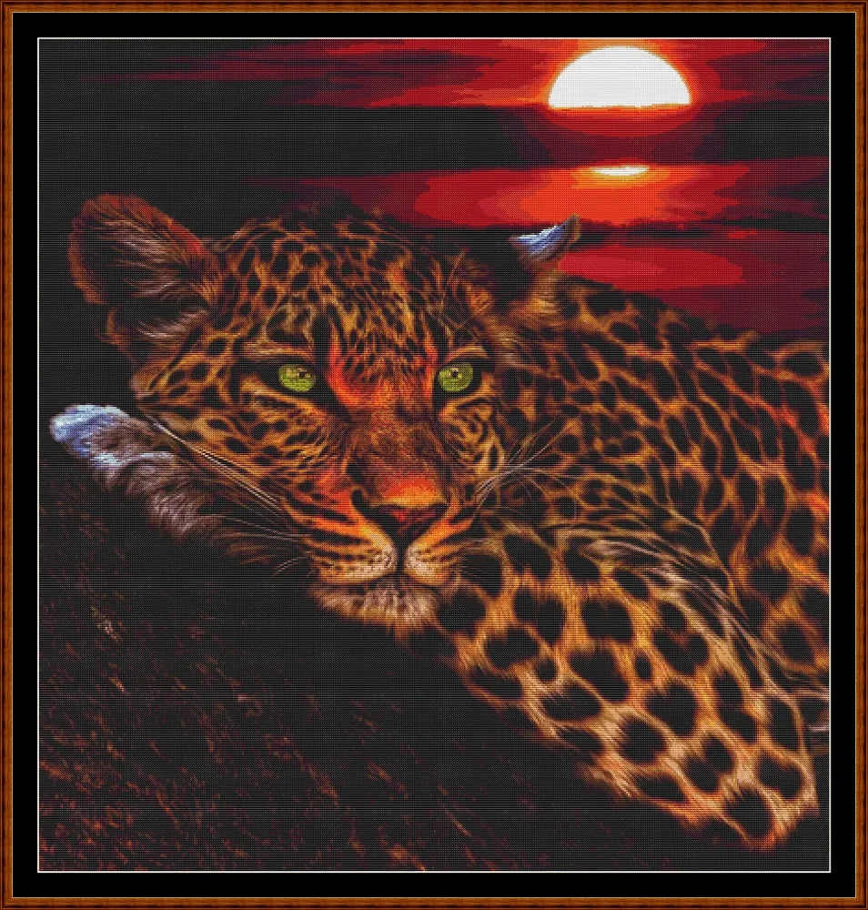 Sunset Leopard  