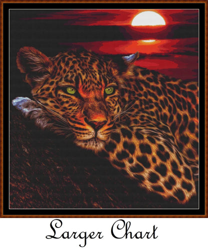 Sunset Leopard  