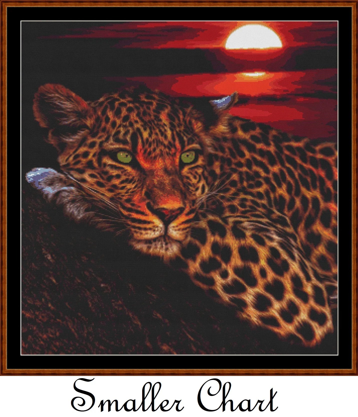 Sunset Leopard  