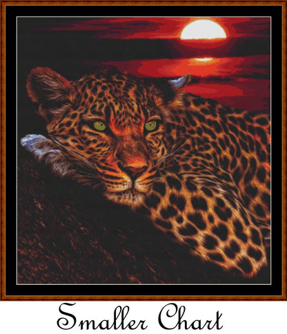 Sunset Leopard  