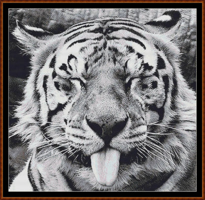 Tongue  