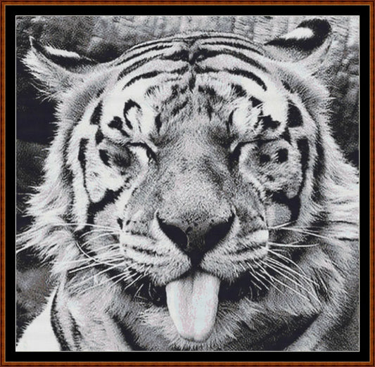 Tongue  