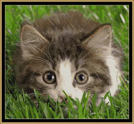 Hiding Tapestry