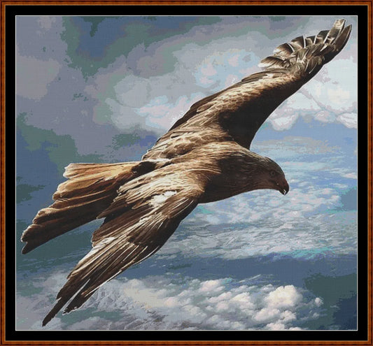 Flying Above  