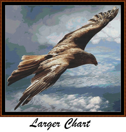 Flying Above  