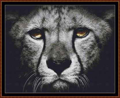 Dark Portrait - Leopard  