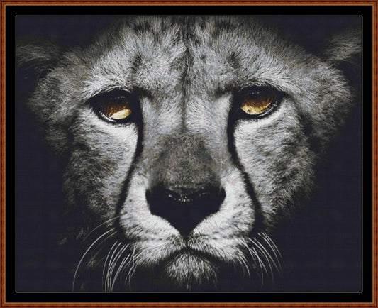 Dark Portrait - Leopard  