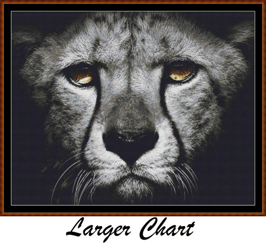 Dark Portrait - Leopard  