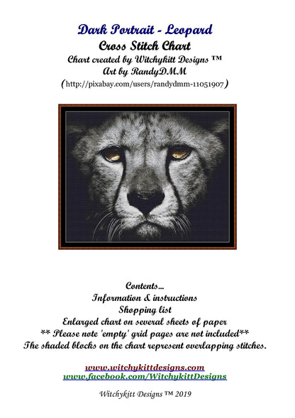Dark Portrait - Leopard  