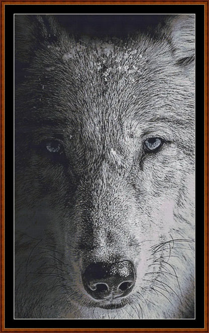 Dark Portrait - Wolf  
