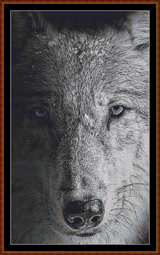 Dark Portrait - Wolf  