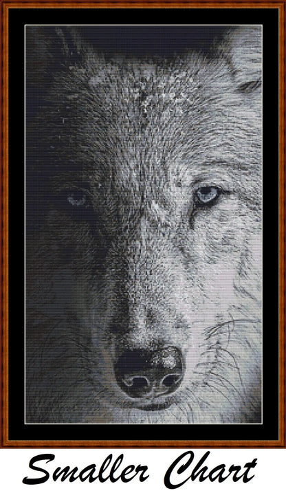 Dark Portrait - Wolf  