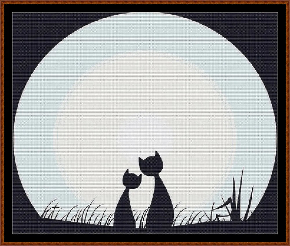 Cat Moon  