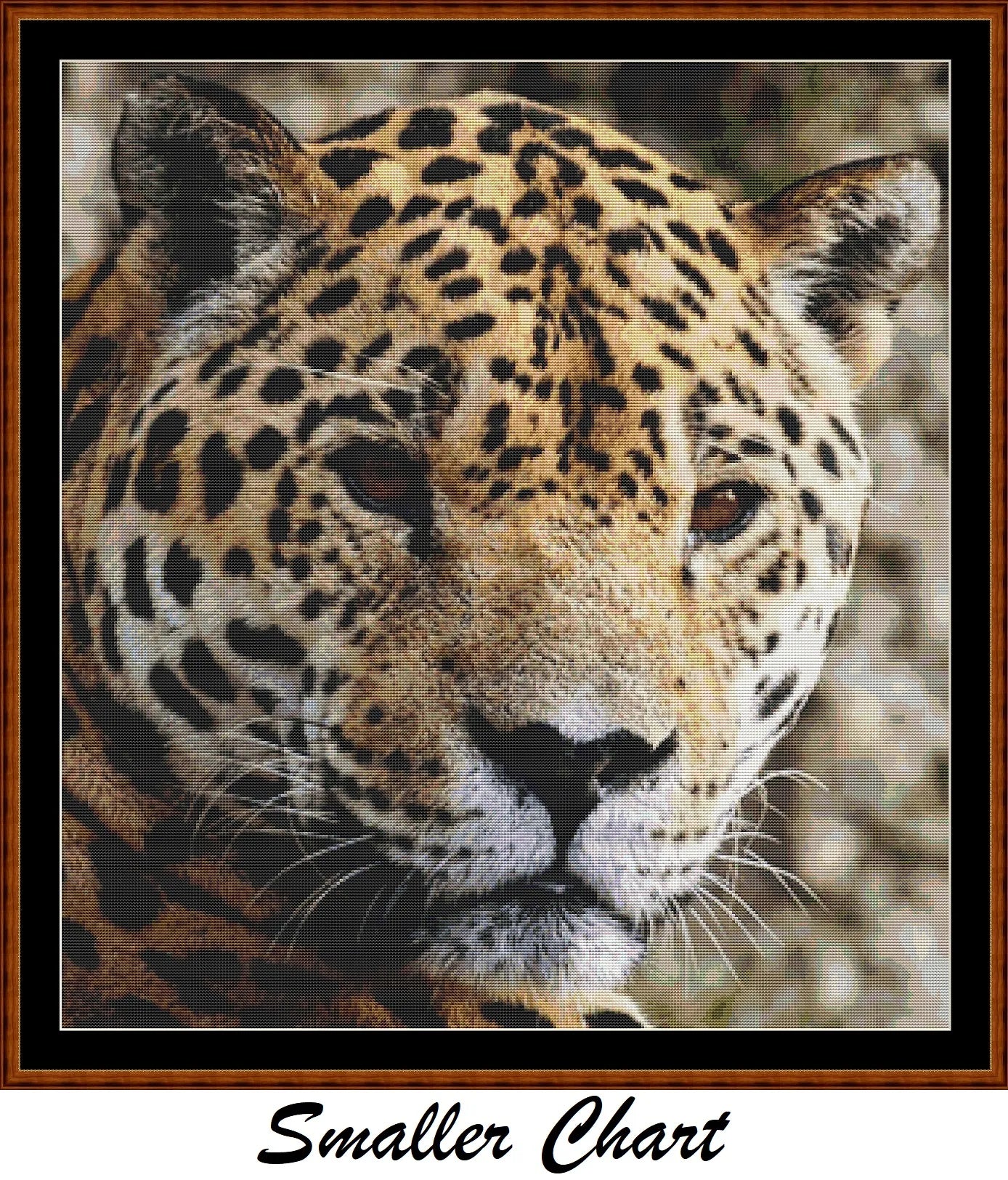 Wild Faces - Jaguar