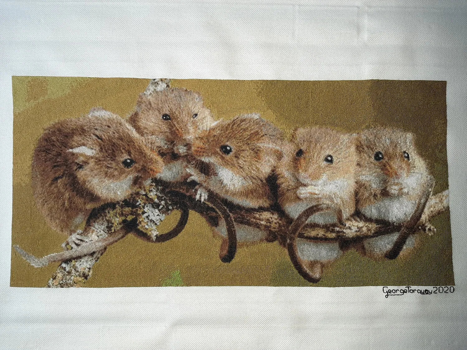 Mouse Committee