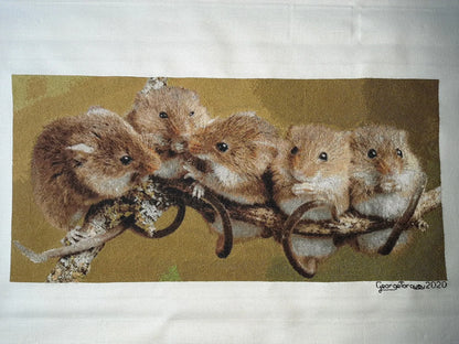 Mouse Committee