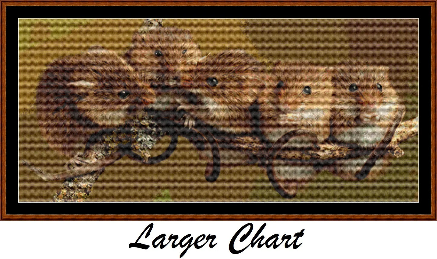 Mouse Committee