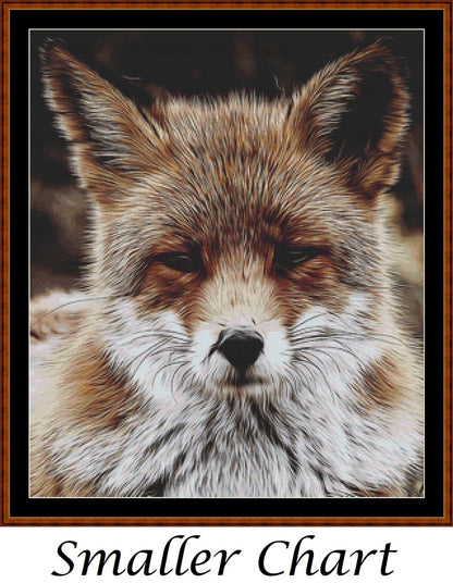 The Red Fox patterns created from art by Brigitte Werner (ArtTower) under CC0 license