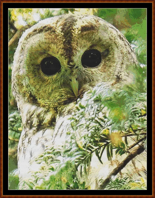 In The Tree  